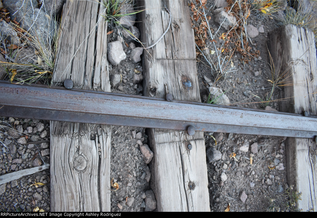 creede branch